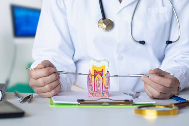 Best Emergency Dentist for Knocked-Out Tooth in Blasdell, NY